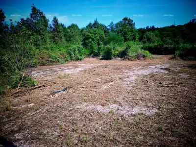 Istra, Kršan, prodajemo dva građevinska zemljišta sa dozvolama. - 5