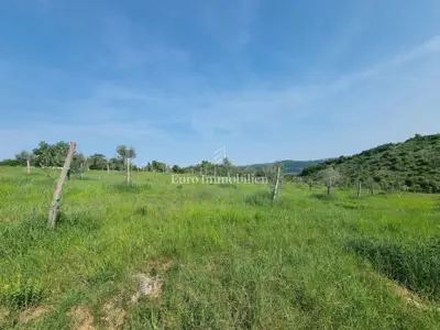 Građevinsko zemljište, Buje - parcele s pristupnim putem - 5