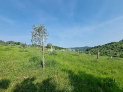 Građevinsko zemljište, Buje - parcele s pristupnim putem