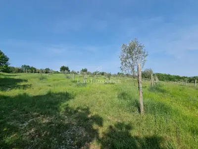 Građevinsko zemljište, Buje - parcele s pristupnim putem - 2