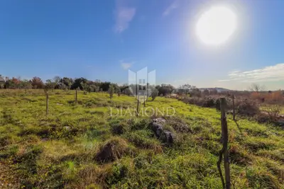 Agricultural land, Rovinj - 8,201 m², olive grove and vineyard - 4