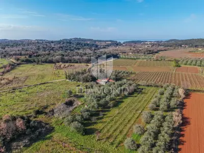 Landwirtschaftsfläche, Rovinj - 8.201 m², Olivenhain und Weinberg