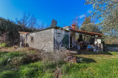 Agricultural land, Rovinj - 8,201 m², olive grove and vineyard - 9