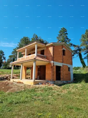 Haus