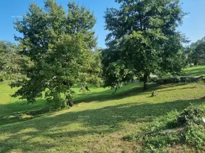Prodaja samostojeće kuće u Roh-Bau fazi s okućnicom - Pazin okolica - 3