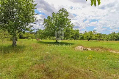 Land 1,246 m², Žminj - peaceful rural location - 3