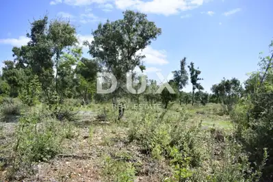 Poljoprivredno zemljište, Rakalj - 600 m od mora i plaže - 2