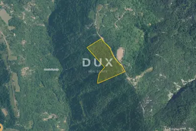 Forest land 44,750 m², Gologorica - access road