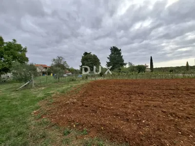 Steinhaus 120 m², Bičići, Barban - ruhige Lage und Apartment - 4