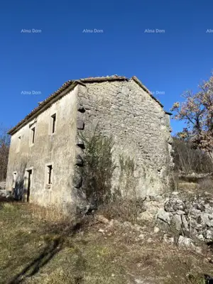 Buzet, Privates Anwesen 21.416 m² mit Bauland - 2