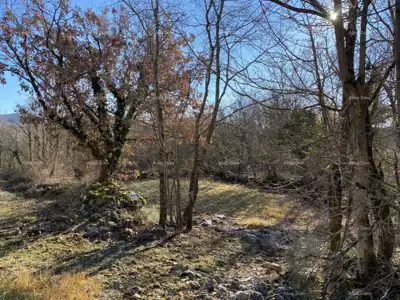 Buzet, Privates Anwesen 21.416 m² mit Bauland - 5