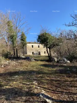 Buzet, Privates Anwesen 21.416 m² mit Bauland - 6