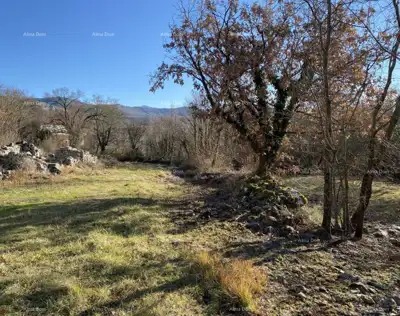 Buzet, Privates Anwesen 21.416 m² mit Bauland - 7