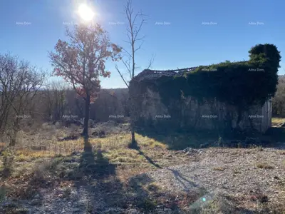 Buzet, Privates Anwesen 21.416 m² mit Bauland - 3