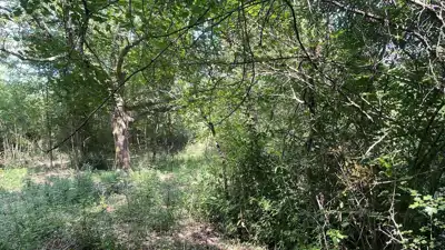Baugrundstück, Pićan - ruhige Lage und asphaltierter Zugang - 2