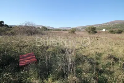 Kaštel Štafilić, Grundstück 4607 m², zu verkaufen - 3