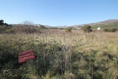 Kaštel Štafilić, Grundstück 4607 m², zu verkaufen - 3