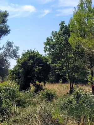 Attraktives Baugrundstück in Medulin, Siedlung Vrčevan