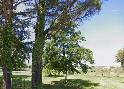 Grundstück in Funtana, 350 m vom Meer und den Stränden entfernt