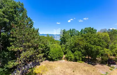 House in Šilo on Krk, quiet location by the edge of the forest - 5