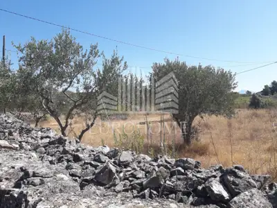 HVAR Building land GREAT PRICE 1867 m² (POLJICA) - 5