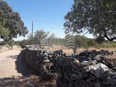 HVAR Building land GREAT PRICE 1867 m² (POLJICA) - 4