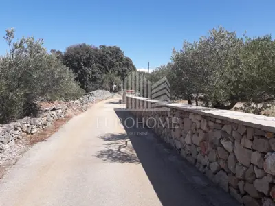 HVAR Building land GREAT PRICE 1867 m² (POLJICA)