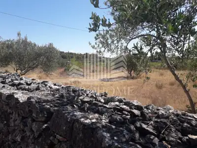 HVAR Building land GREAT PRICE 1867 m² (POLJICA) - 6