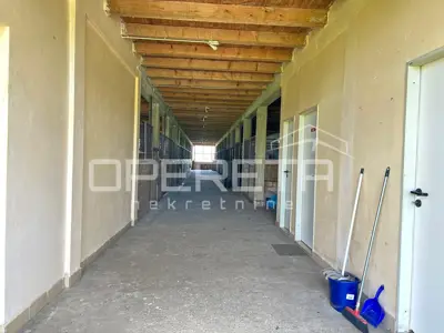 Imanje 60.383 m², Kopačevo - blizu Osijeka i Kopačkog rita - 16