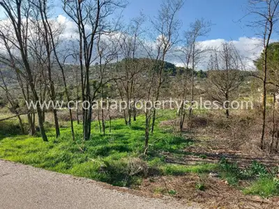 Zemljište 7.002 m² na otoku Visu, uz glavnu cestu - 2