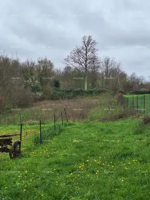 Građevinsko zemljište 950 m², Debeljuhi, između Žminja i Kanfanara - 7