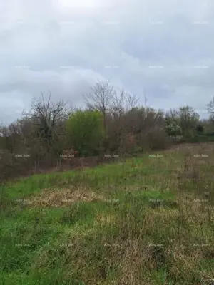 Građevinsko zemljište 950 m², Debeljuhi, između Žminja i Kanfanara - 3