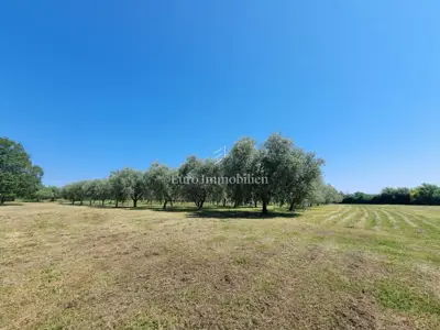 Land 4,437 m², Poreč - building and tourist zone - 7