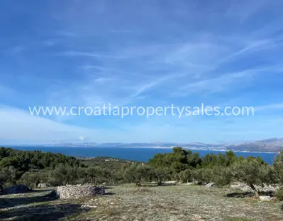 Poljoprivredno zemljište, Otok Brač, pogled na more i 80 maslina