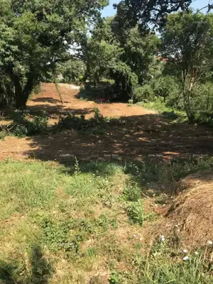 Baugrundstück 1 137 m², Filipana, ruhige Umgebung - 8
