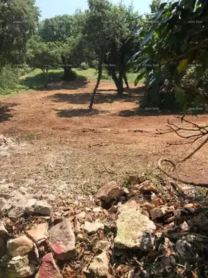 Building land 1 137 m², Filipana, peaceful surroundings
