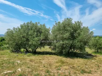 Labin - land with building permit and view - 3