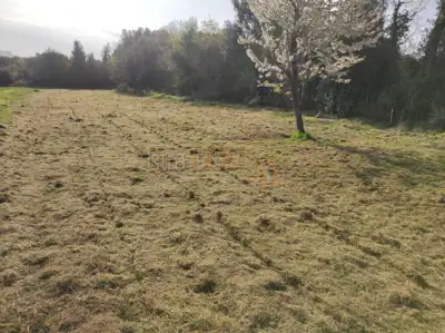 - Šišan, poljoprivredno zemljište 610 m² - - 2
