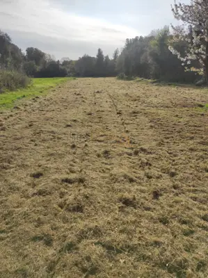 - Šišan, poljoprivredno zemljište 610 m² -
