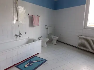 House in Brtonigla, near the center, partially renovated - 13