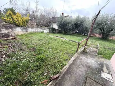 House 152 m², Buje - peaceful location in greenery - 3