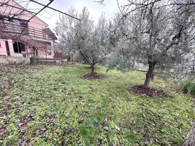 House 152 m², Buje - peaceful location in greenery - 2
