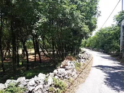Građevinsko zemljište 1.152 m², Rakalj - odlična lokacija