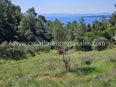 Poljoprivredno zemljište 142.000 m², Otok Hvar - 200 m od mora - 5