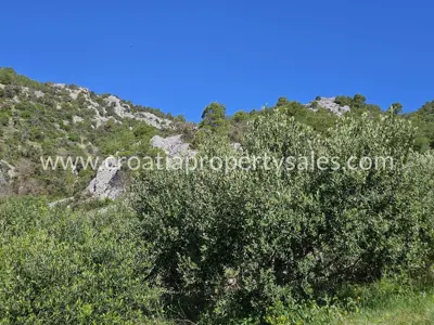 Poljoprivredno zemljište 142.000 m², Otok Hvar - 200 m od mora - 2