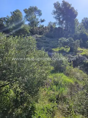 Poljoprivredno zemljište 142.000 m², Otok Hvar - 200 m od mora - 3
