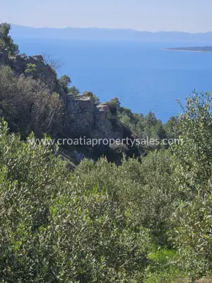 Poljoprivredno zemljište 142.000 m², Otok Hvar - 200 m od mora - 4