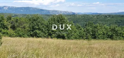 ISTRA, PIĆAN - Land with construction started for two houses, edge of the village, p - 9