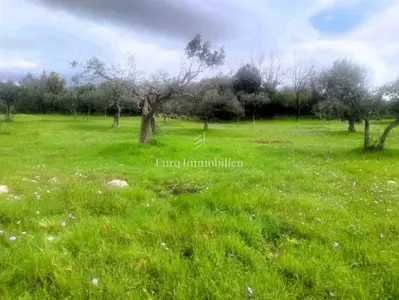 Building plot 2,331 m², Šijana - investment location - 5