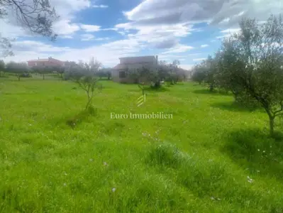 Building plot 2,331 m², Šijana - investment location - 2